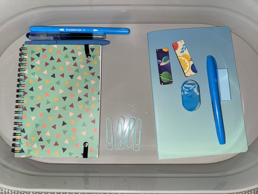 Basic Stationary Bundle